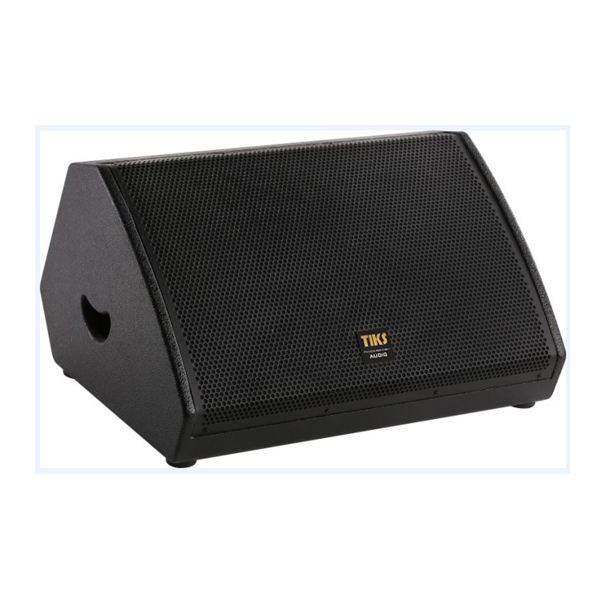 SN12 单12寸专业返听音箱